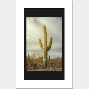 Saguaro Posters and Art